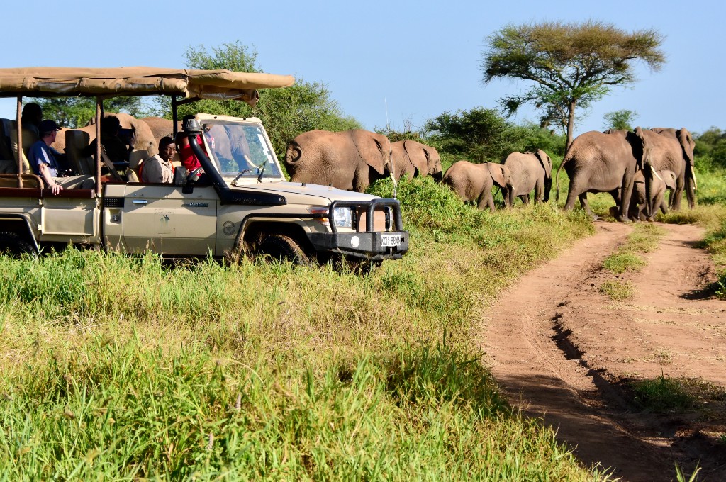 Safaris – The Maarifa Foundation